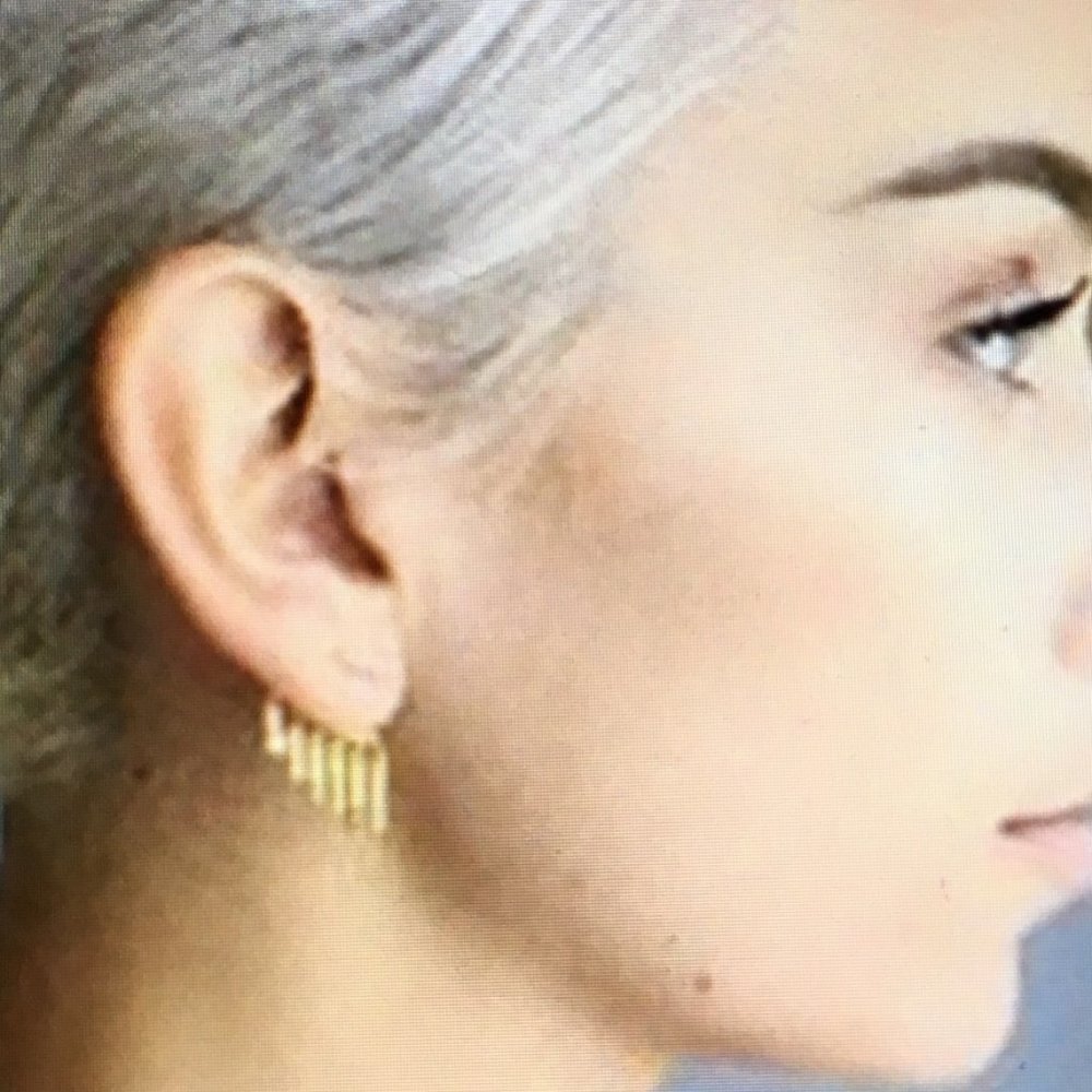 Meet your Posher, Birdee